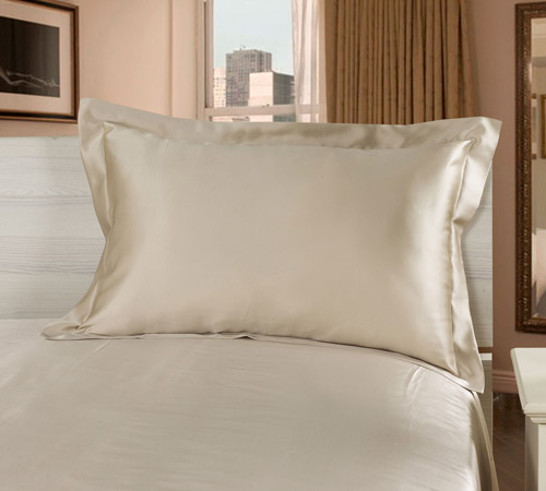 bright_coffee_22_silk_oxford_pillowcase