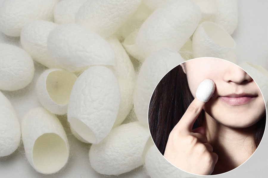 What Are Silk Cocoons and How to Use Them for Skin Beauty The